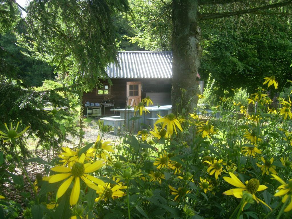 Villa Heidehof Hellenthal Esterno foto