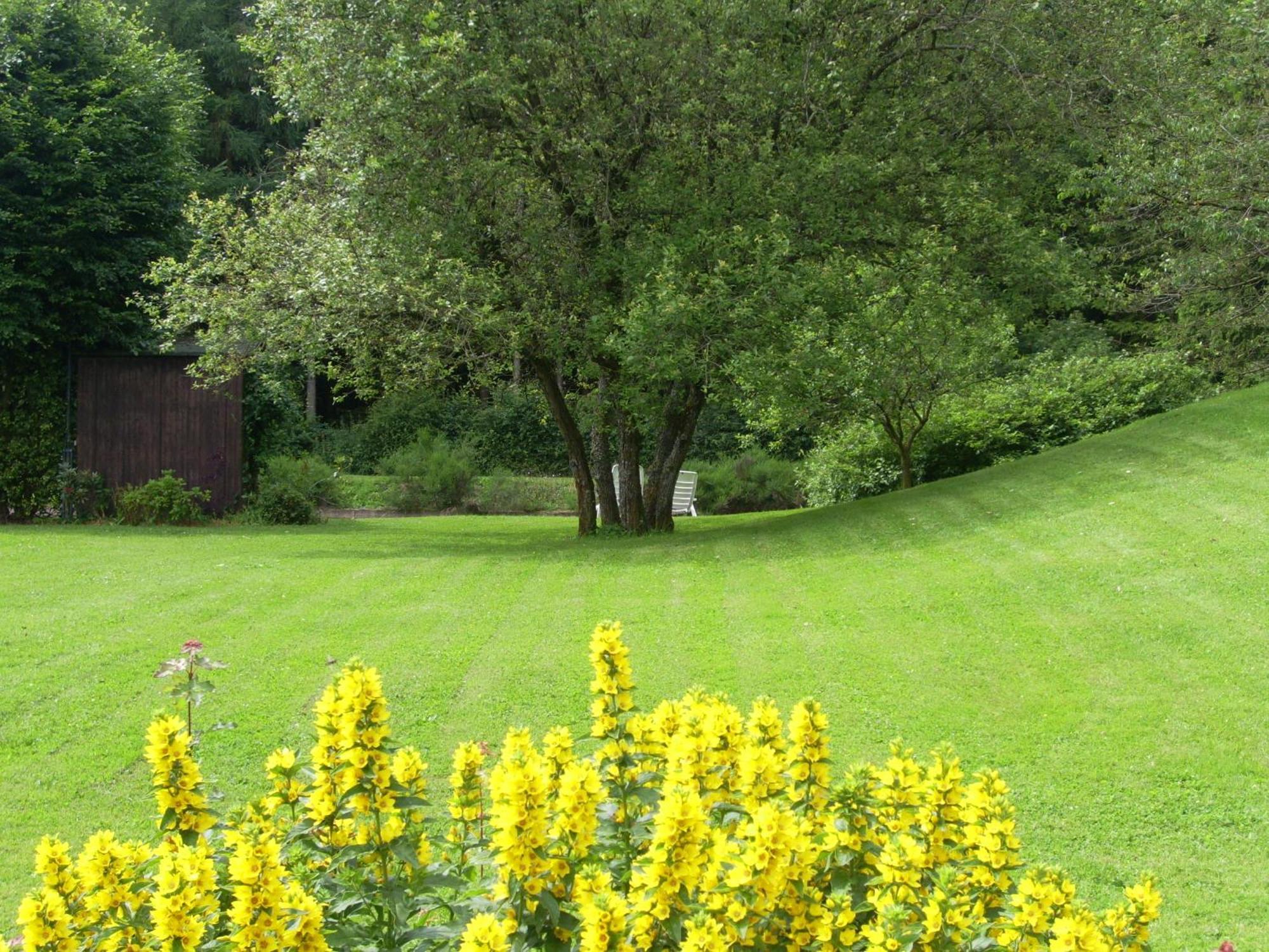 Villa Heidehof Hellenthal Esterno foto